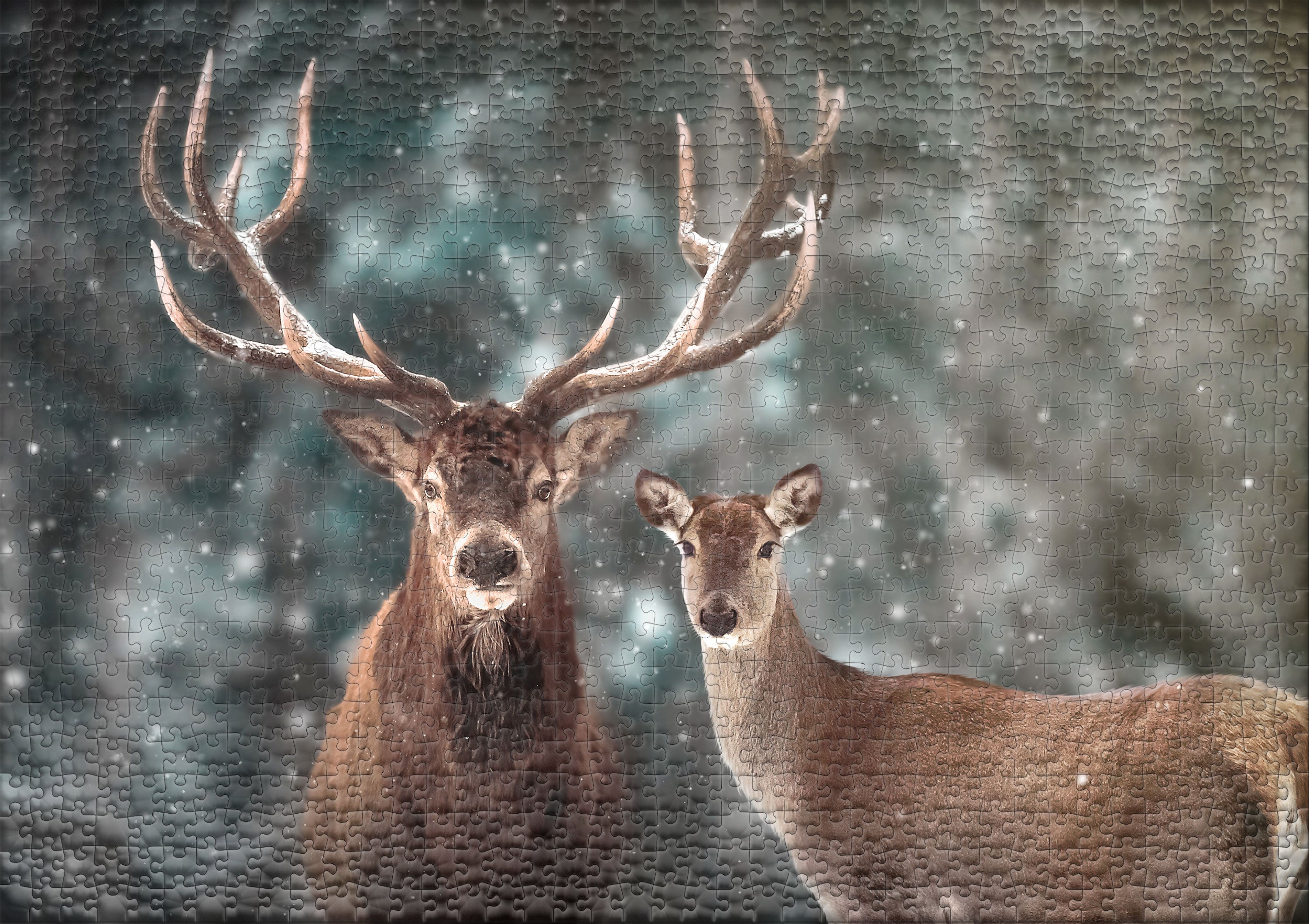 ulmer-puzzleschmiede-puzzle-1000-teile-drau-en-zu-zweit-hirsch-winter image 2