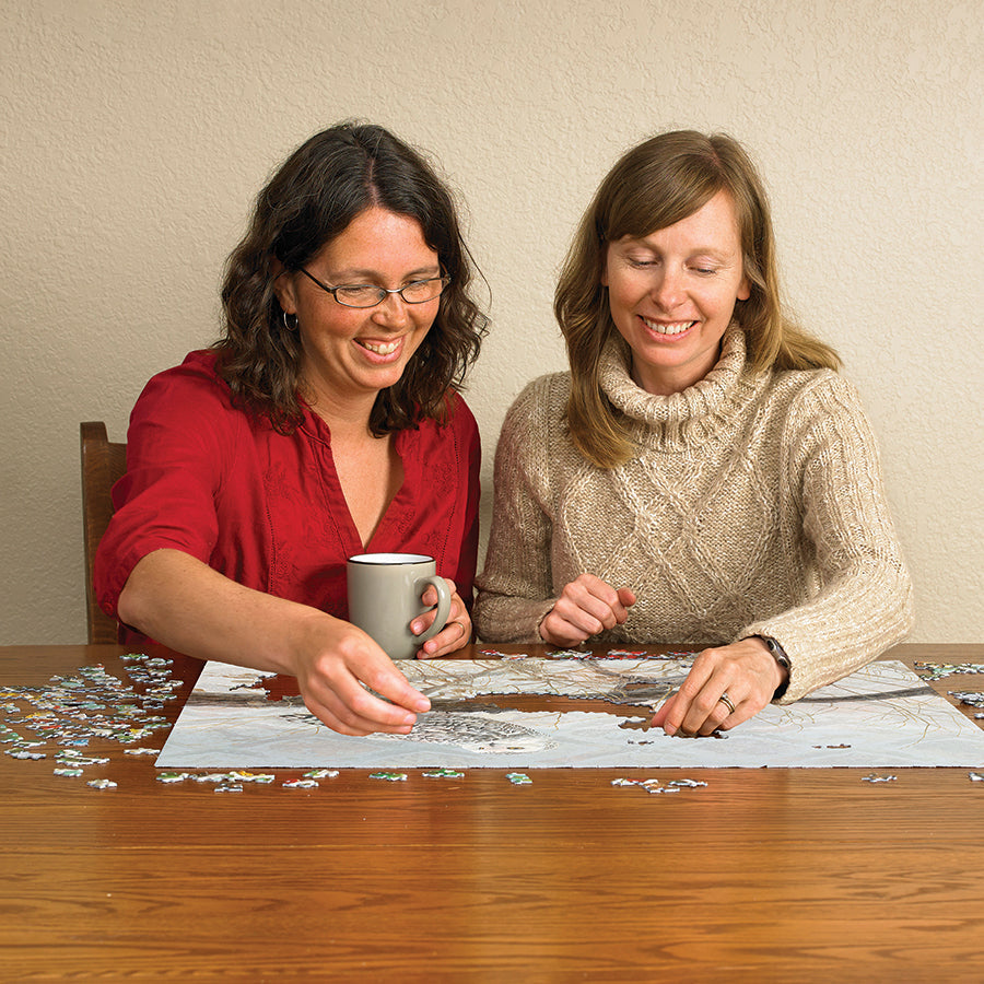 cobble-hill-500-piece-fallen-willow-snowy-owl-puzzle-eule image 5