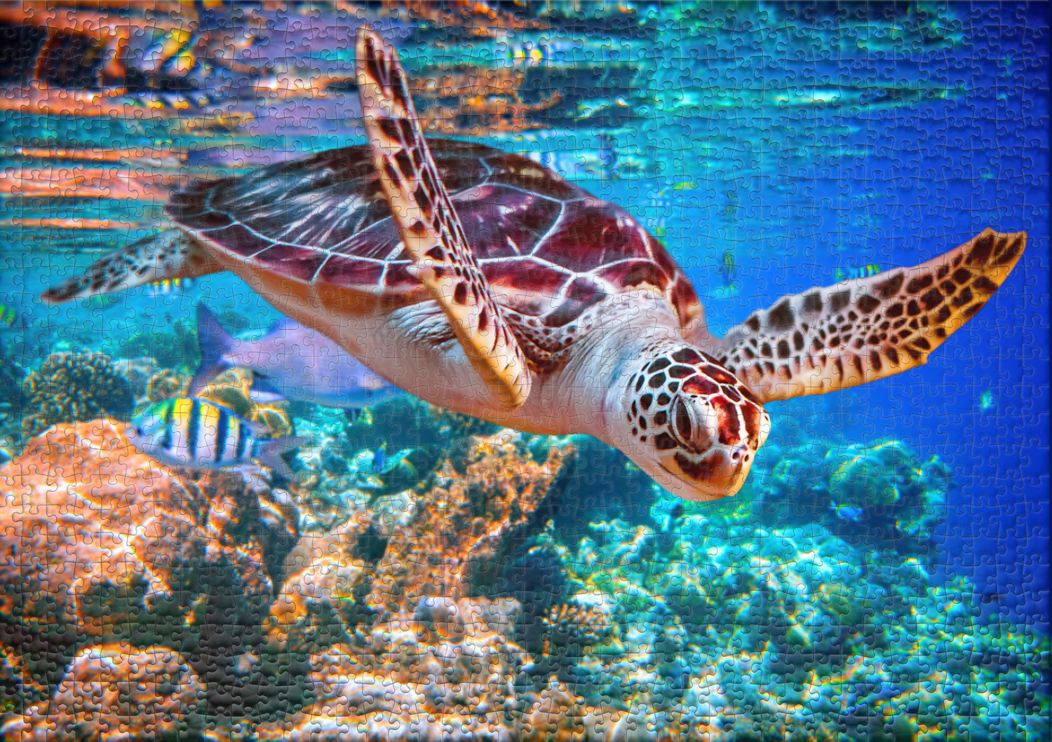 ulmer-puzzleschmiede-puzzle-2000-teile-meeresschildkr-te-puzzle-unterwasser image 2