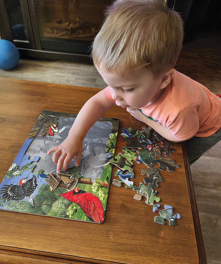 cobble-hill-around-the-birdfeeder-tray-puzzle-35-teile-v-gel image 2