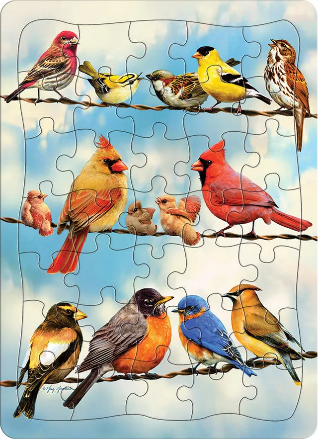 cobble-hill-blue-sky-birds-35-teile-rahmenpuzzle-kinder image 1