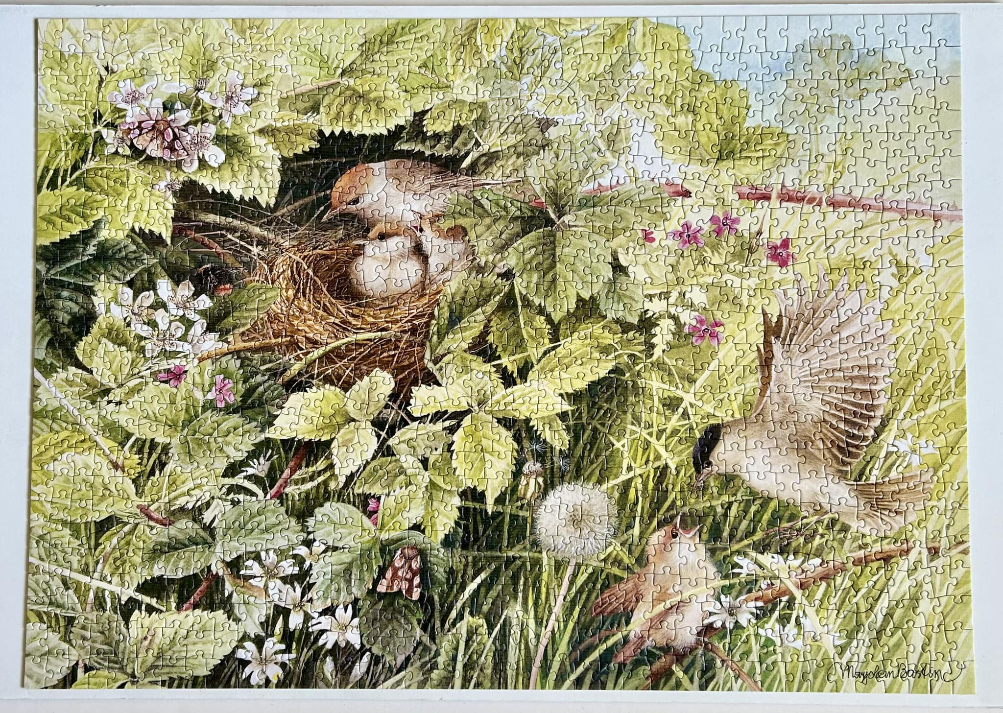 cobble-hill-1000-piece-hidden-nest-puzzle-1000-teile-v-gel image 4
