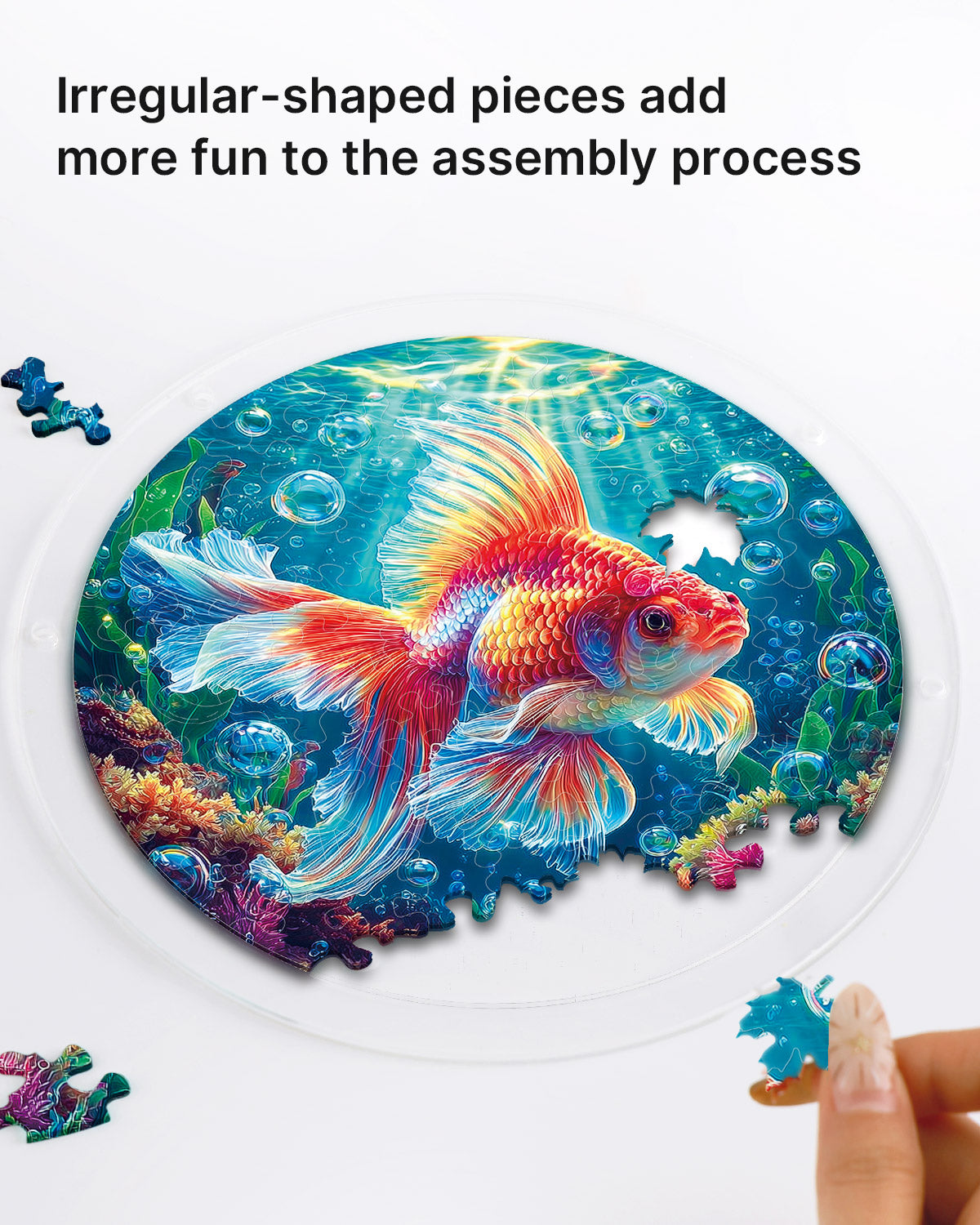kaayee-starflame-goldfish-suncatcher-medium-gold image 2
