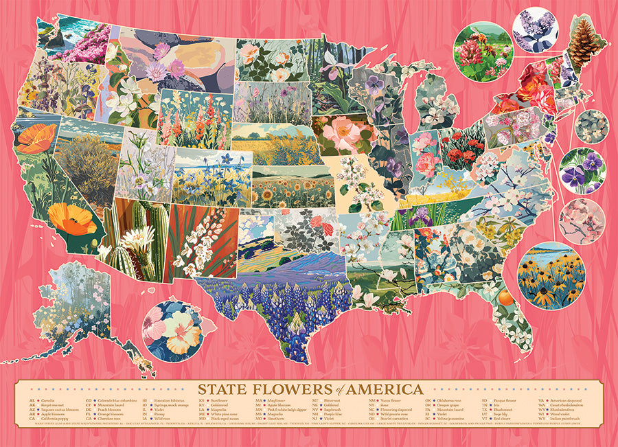 cobble-hill-1000-piece-state-flowers-of-america-puzzle-1000-teile image 2