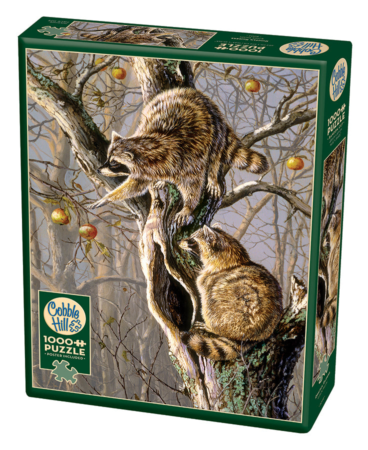 cobble-hill-1000-piece-ringtail-raiders-puzzle-waschb-r-1000t image 1