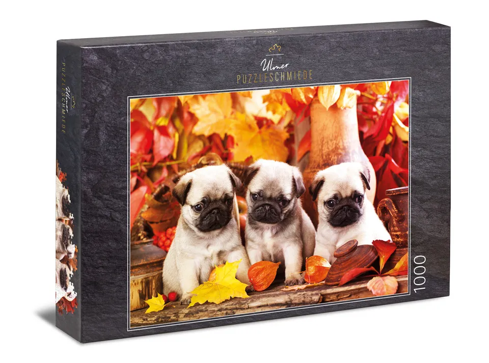ulmer-puzzleschmiede-puzzle-1000-teile-welpen-gl-ck-mops-puzzle image 1