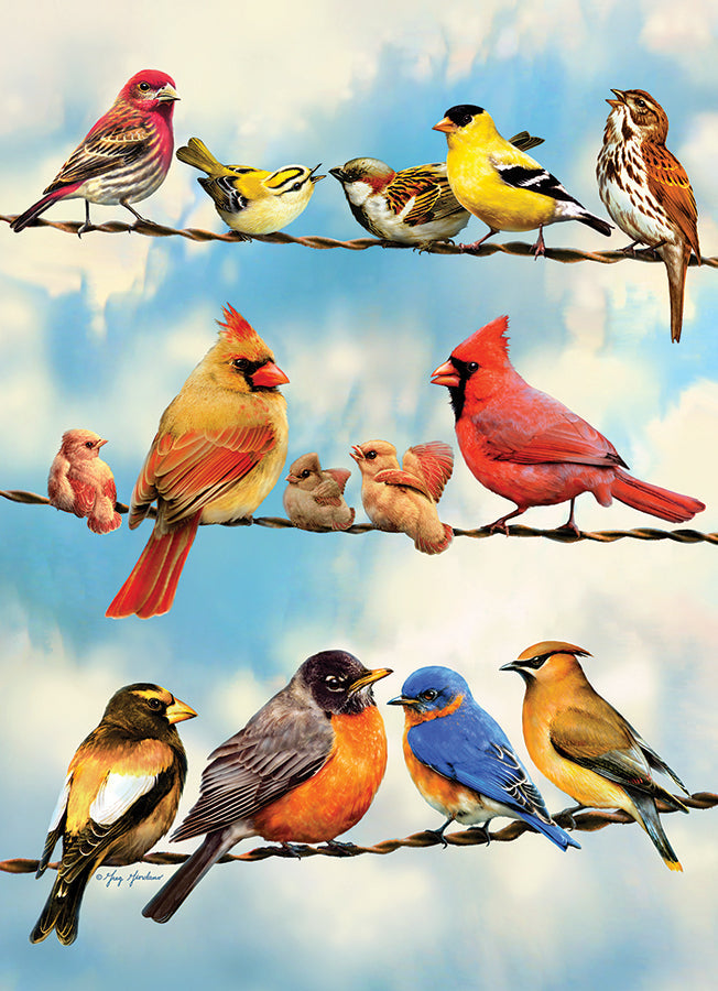 cobble-hill-blue-sky-birds-35-teile-rahmenpuzzle-kinder image 3