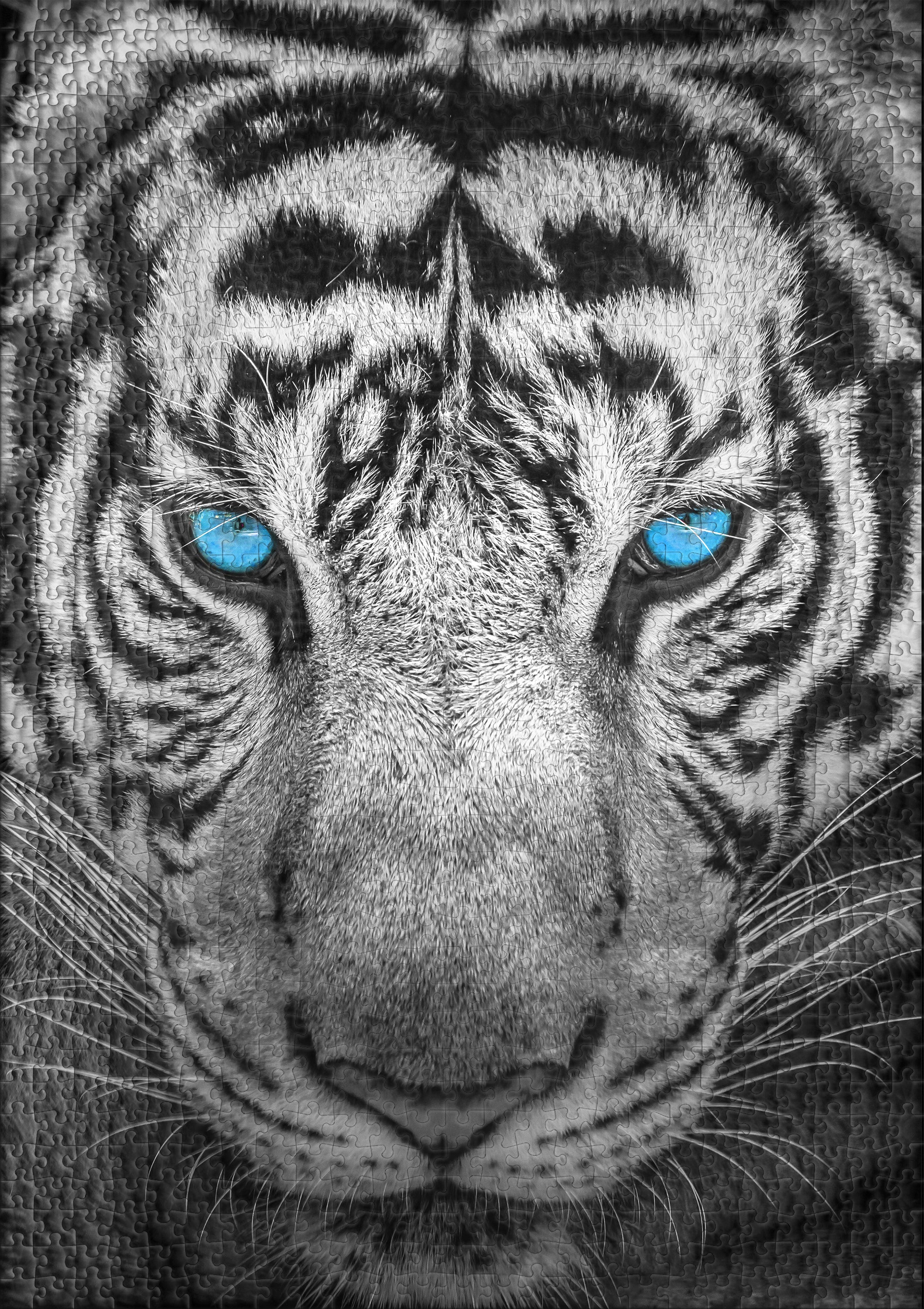 ulmer-puzzleschmiede-der-j-ger-puzzle-1000-teile-tiger-portrait image 2