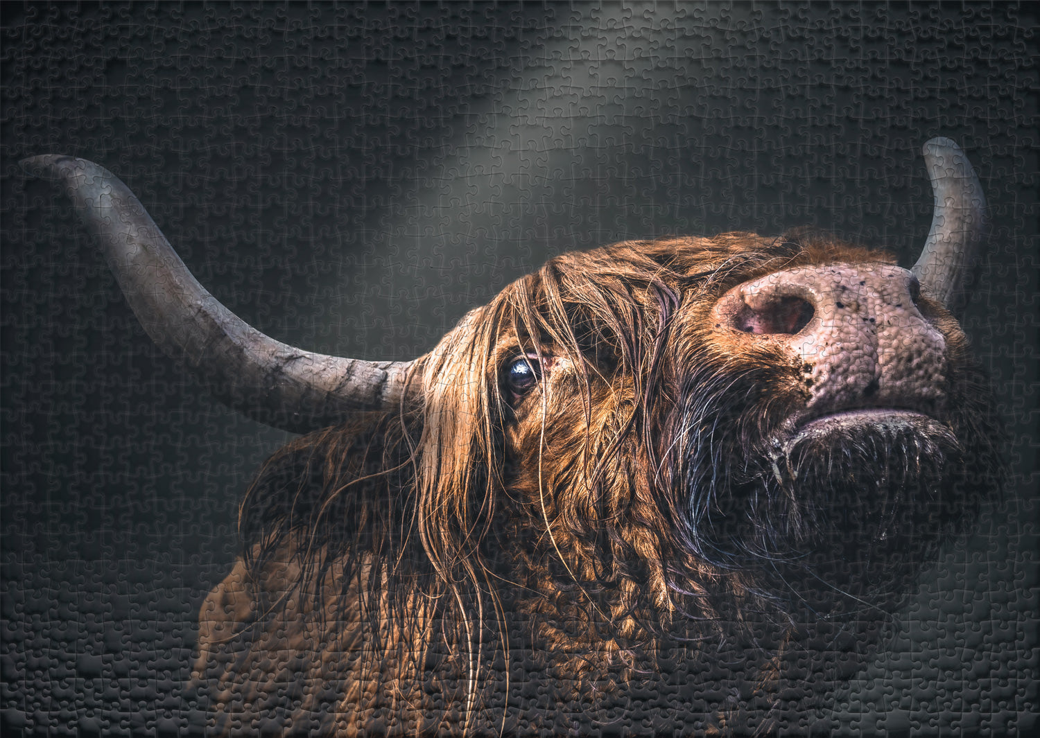 ulmer-puzzleschmiede-yak-puzzle-1000-teile-hochlandrind image 2