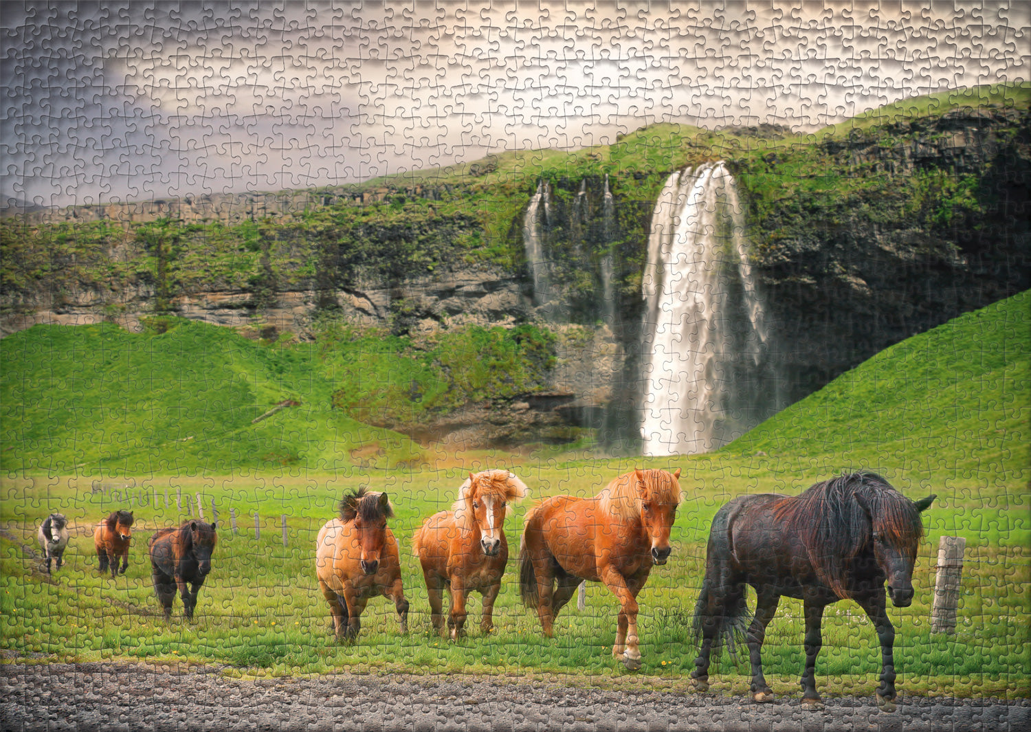 ulmer-puzzleschmiede-isl-nder-puzzle-1000-teile-pferde image 2