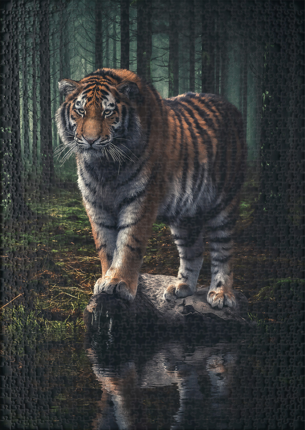 ulmer-puzzleschmiede-puzzle-1000-teile-herrscher-des-dunklen-waldes-tiger image 2