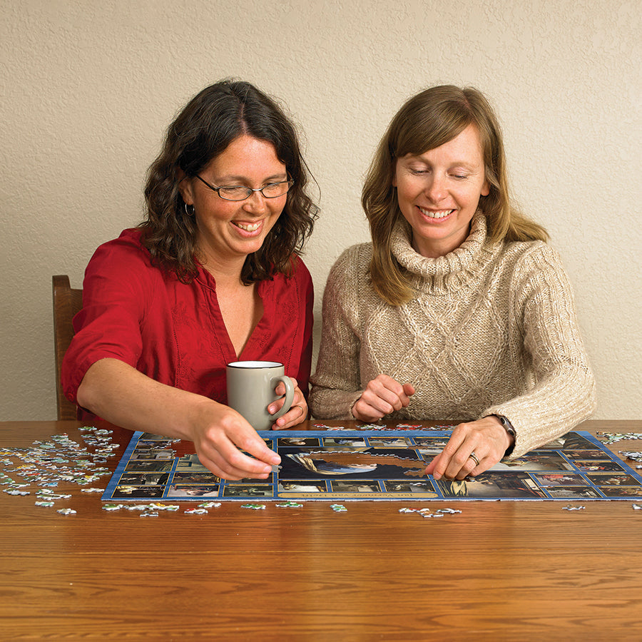 cobble-hill-1000-piece-vermeer-puzzle-1000-teile-kunst-collage image 5