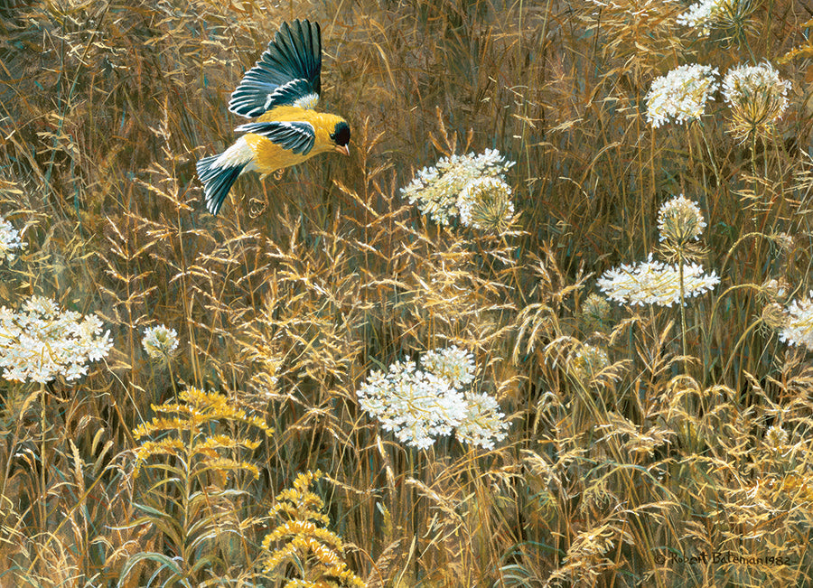 cobble-hill-queen-anne-s-lace-and-american-goldfinch-500-teile-puzzle image 2