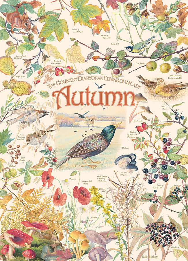 cobble-hill-1000-piece-country-diary-autumn-puzzle-herbst-collage image 2
