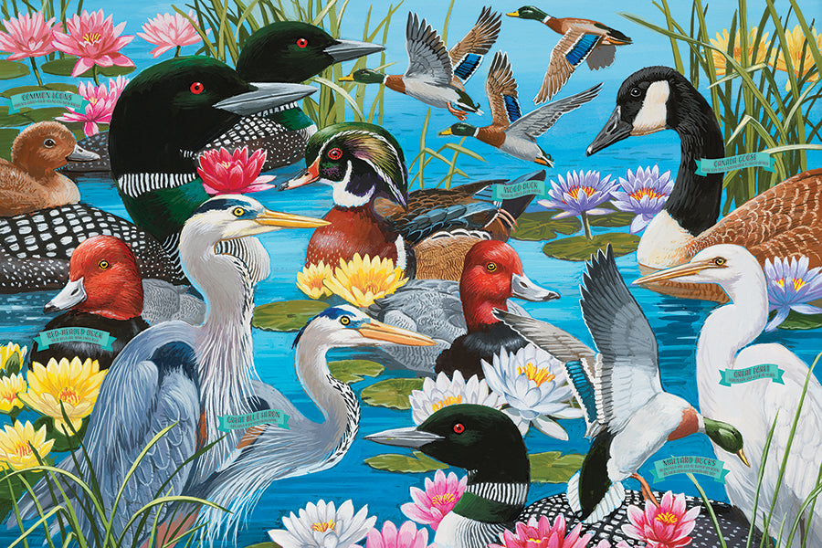 cobble-hill-water-birds-bodenpuzzle-36-teile-v-gel image 2