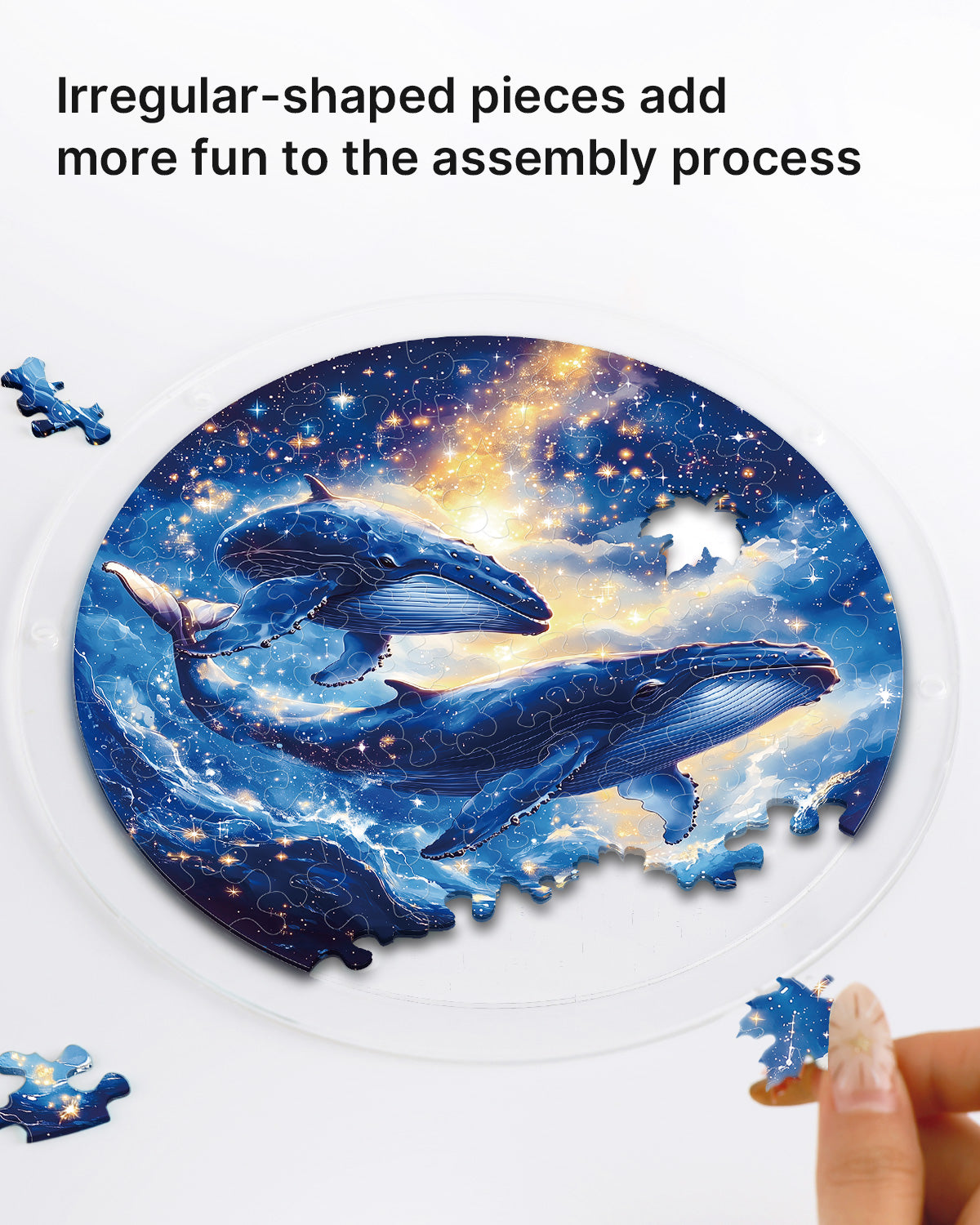 kaayee-suncatcher-puzzle-twin-whales-cosmos-sonnenf-nger image 2