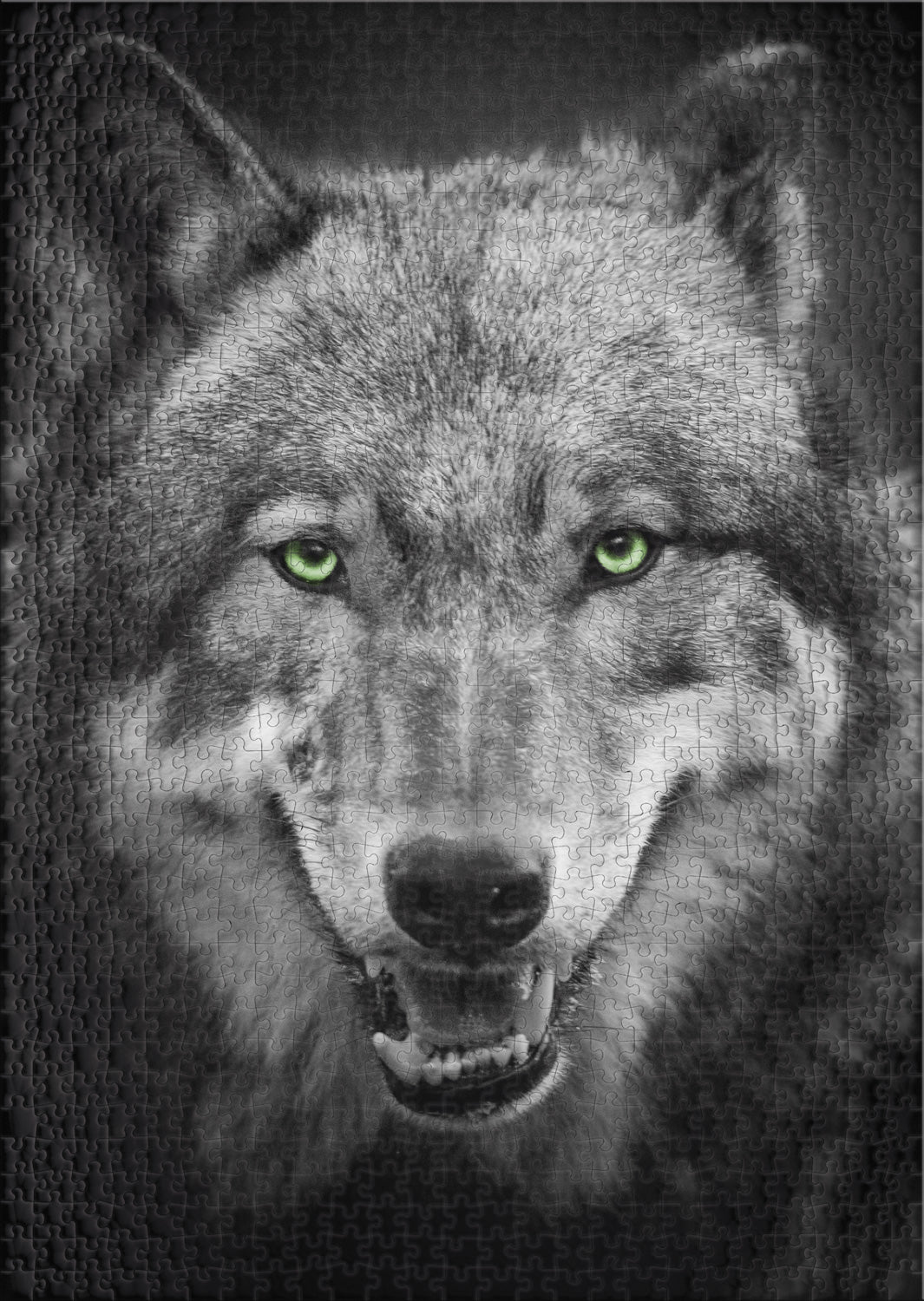 ulmer-puzzleschmiede-puzzle-1000-teile-canis-lupus-wolf-2 image 2