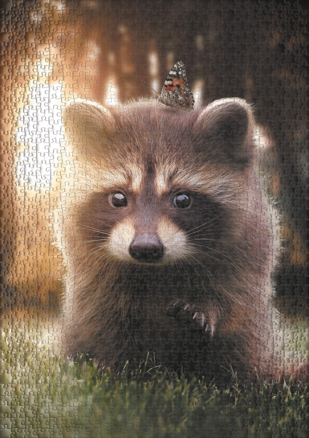 ulmer-puzzleschmiede-waschb-r-sucht-freund-puzzle-1000-teile image 2
