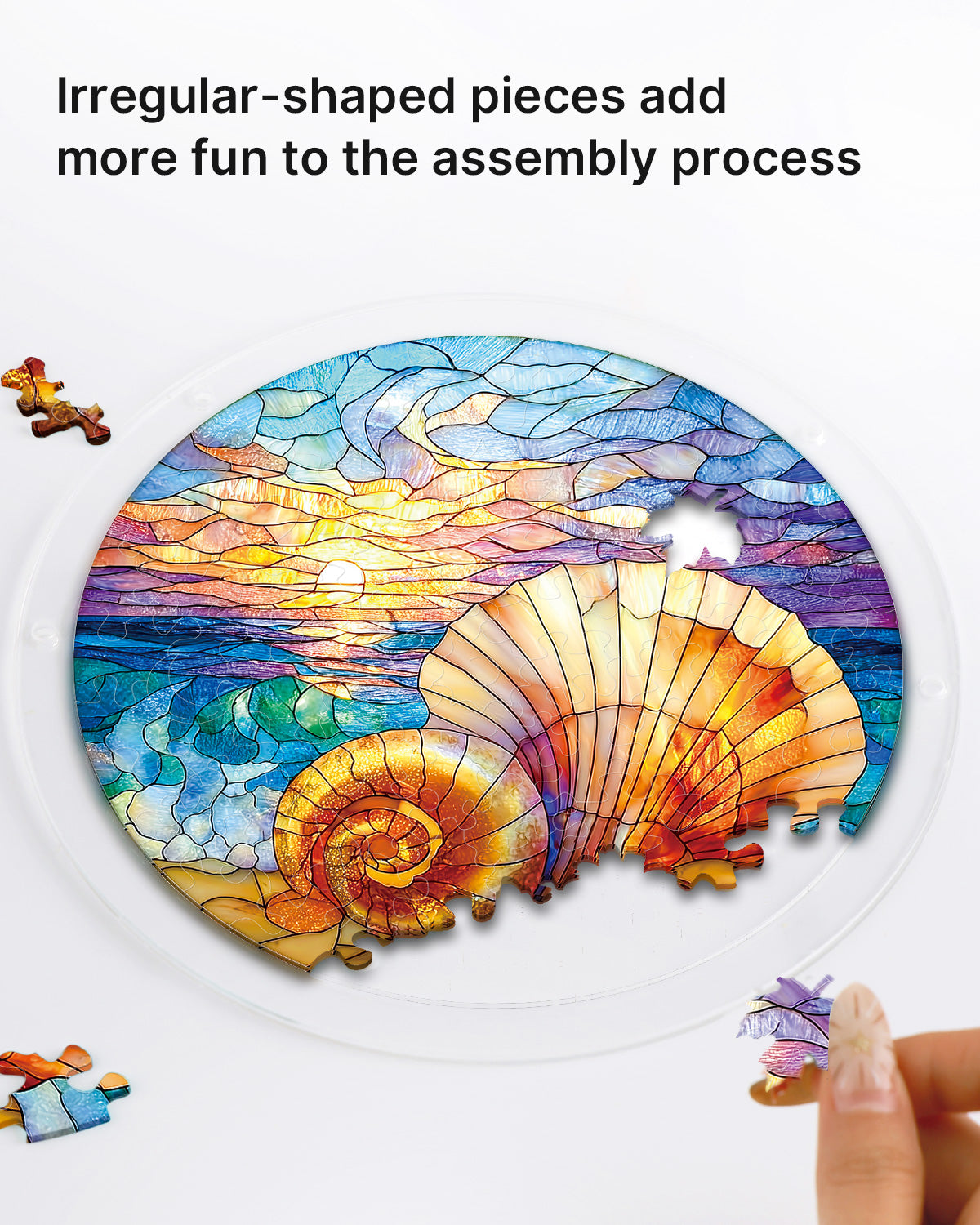 kaayee-suncatcher-puzzle-ocean-echo-shell-fensterdeko-muschel-acryl image 2