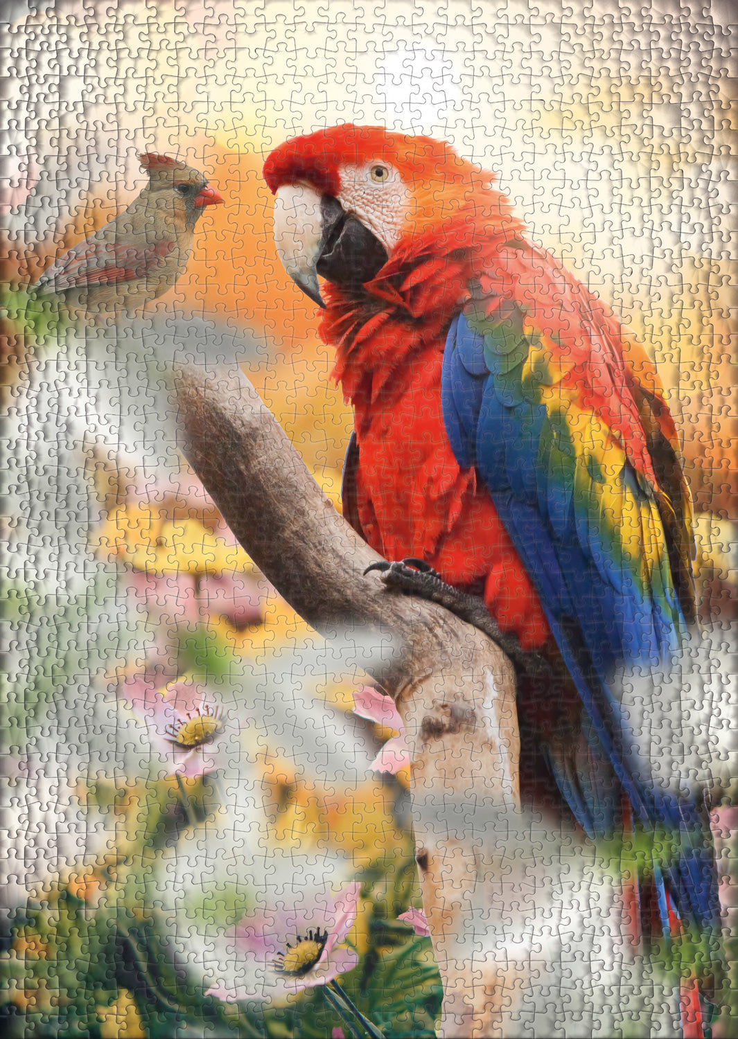 ulmer-puzzleschmiede-puzzle-1000-teile-papagei-bunt image 2