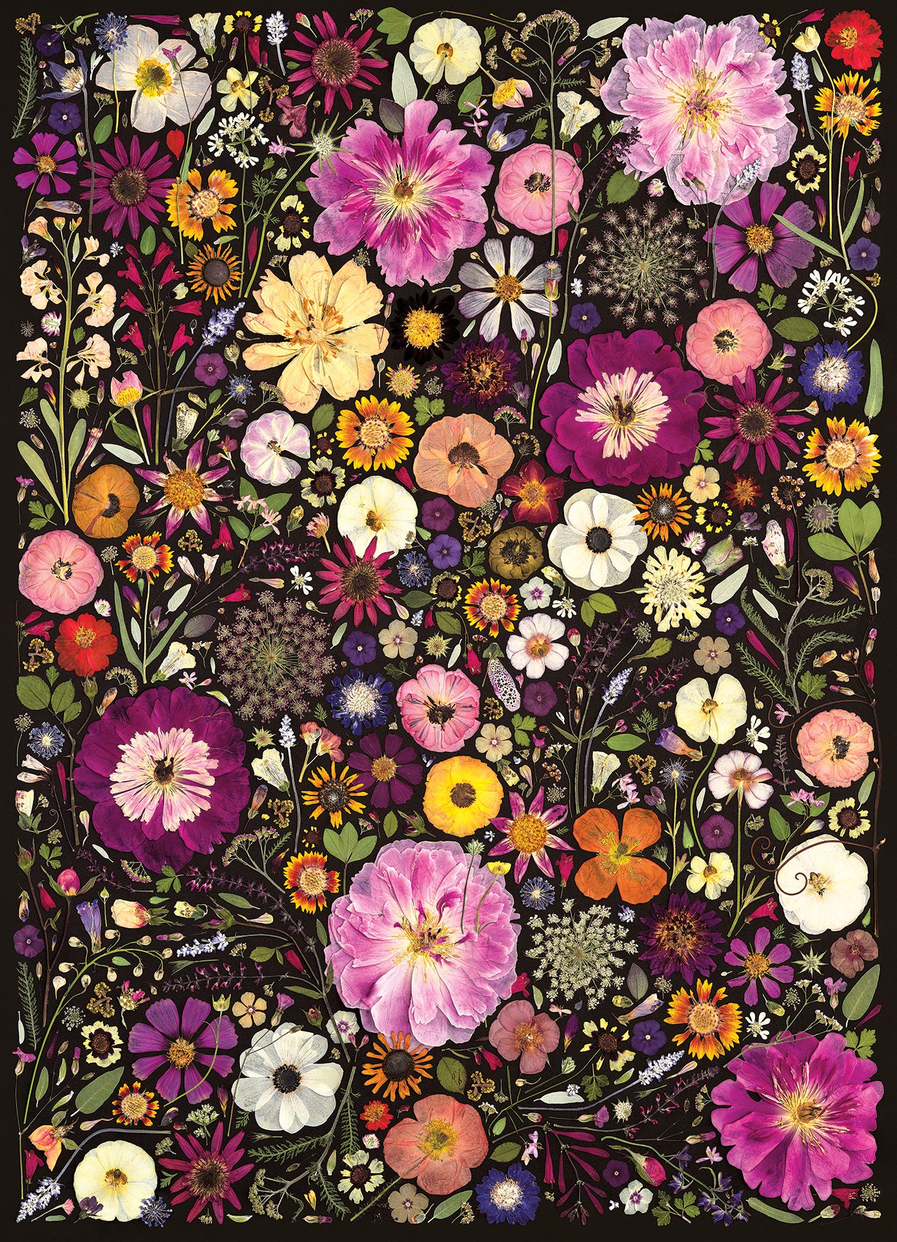 cobble-hill-500-flower-press-red-daisy-puzzle-500teile-blumen image 2