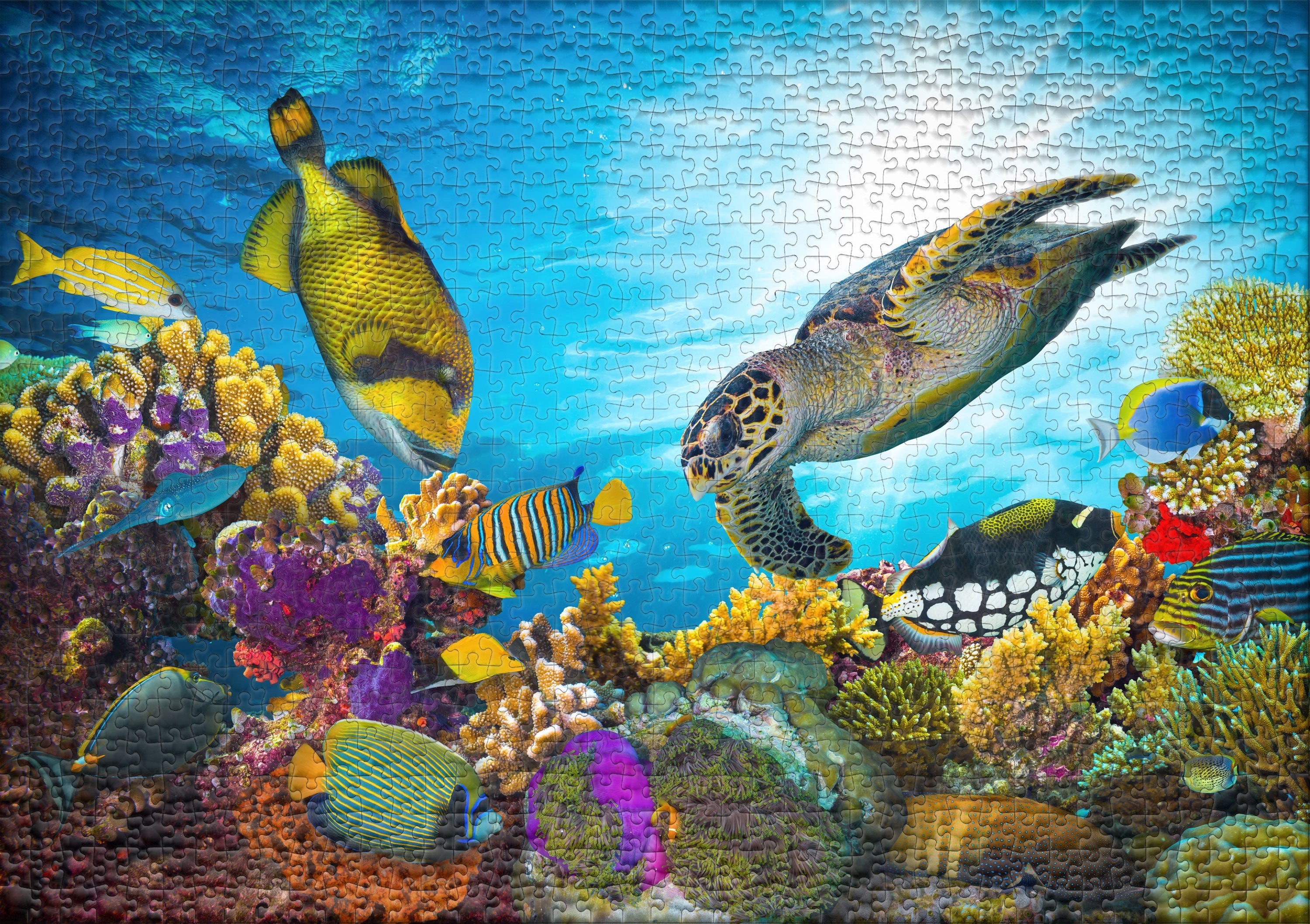 ulmer-puzzleschmiede-farben-meer-puzzle-1000-teile-unterwasser image 2