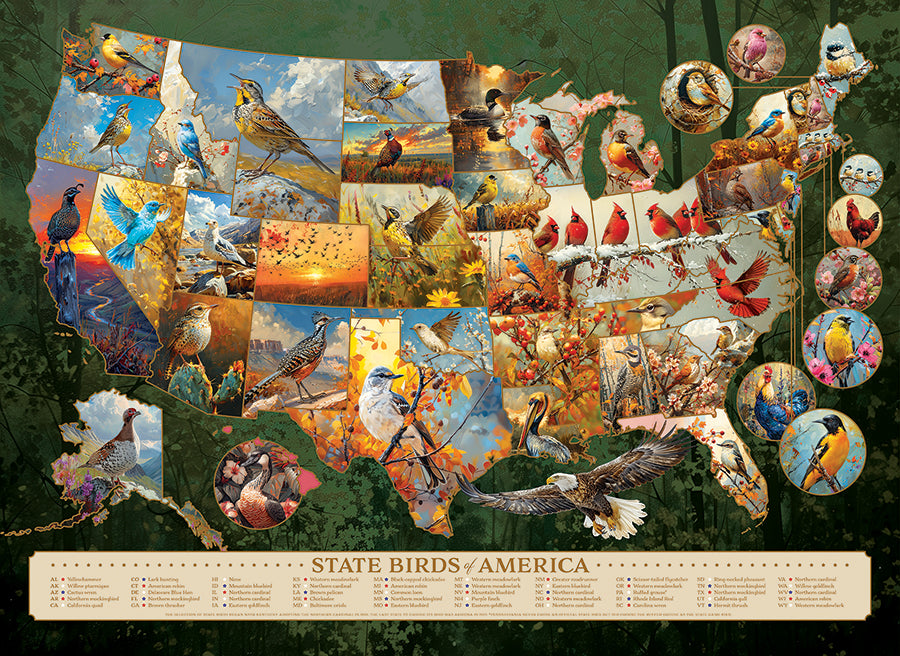 cobble-hill-1000-piece-state-birds-of-america-puzzle-1000-teile-v-gel image 2