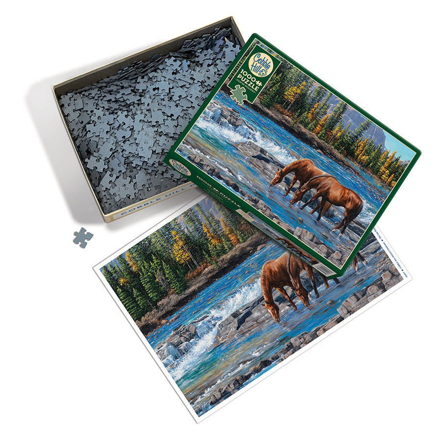 cobble-hill-1000-piece-on-the-rocks-puzzle-1000-teile-herbst image 3