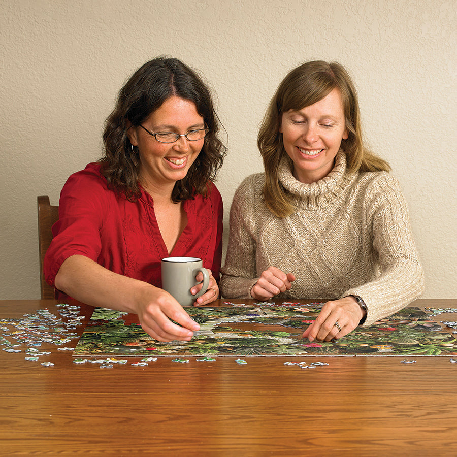 cobble-hill-1000-teile-succulent-garden-puzzle-sukkulenten image 5