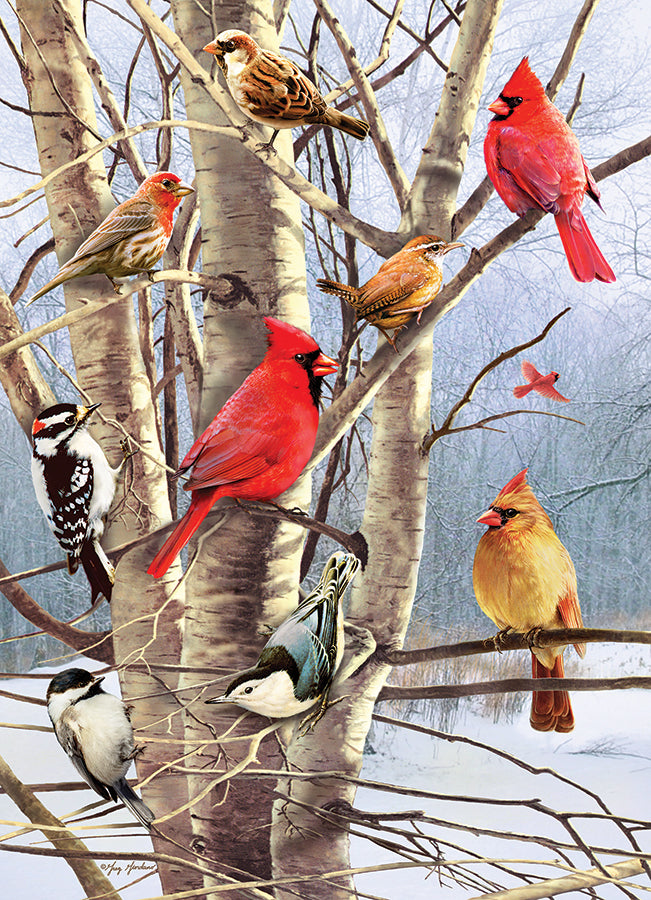 cobble-hill-1000-piece-winter-birds-puzzle-1000-teile-v-gel image 2