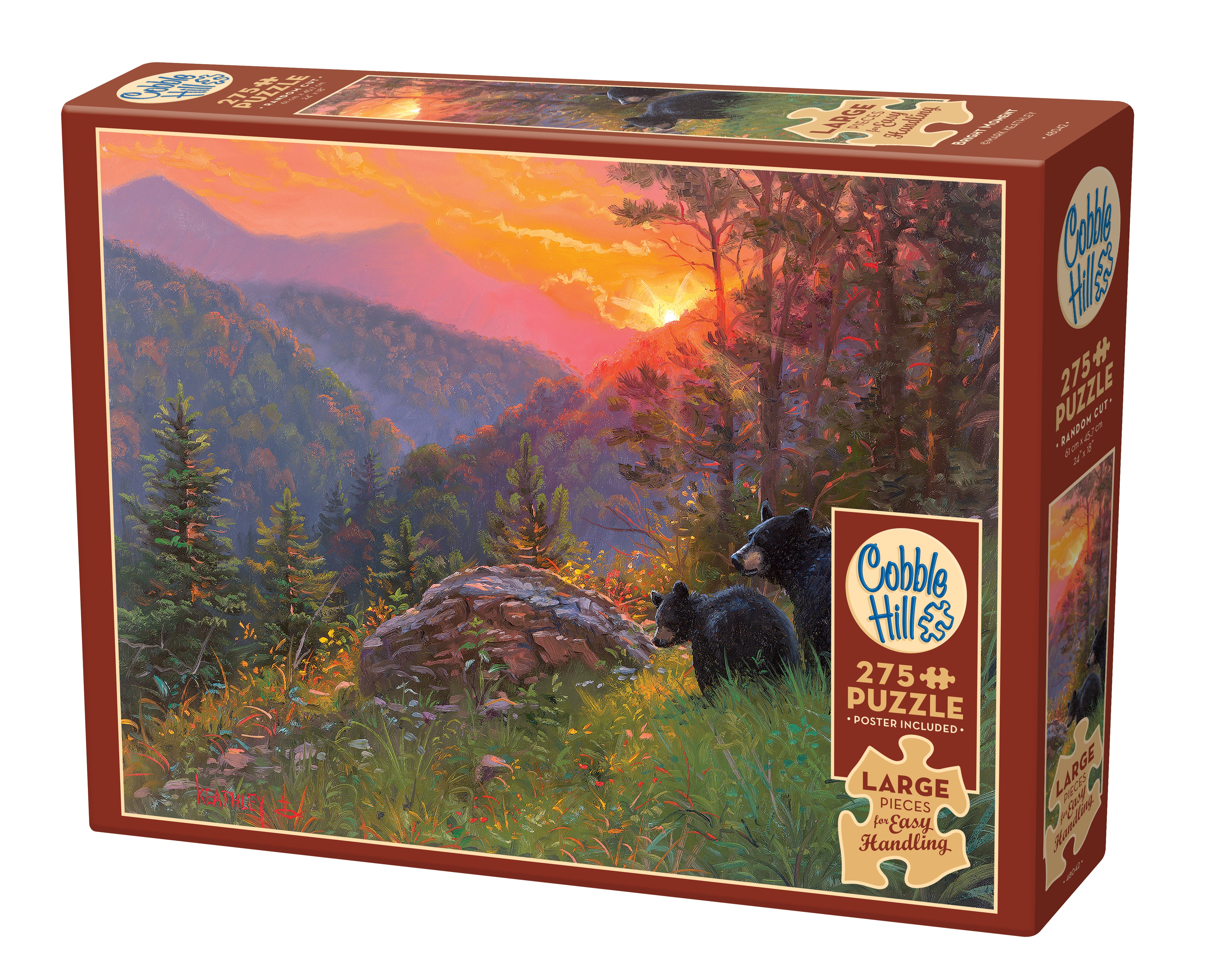 cobble-hill-easy-handling-275-bright-moment-puzzle-275-teile-b-ren image 1