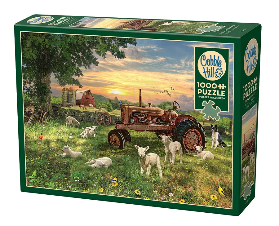 cobble-hill-1000-piece-field-at-sunrise-puzzle-1000-teile-bauernhof image 1