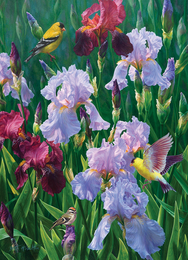 cobble-hill-1000-piece-spring-glory-puzzle-1000-teile-iris image 2