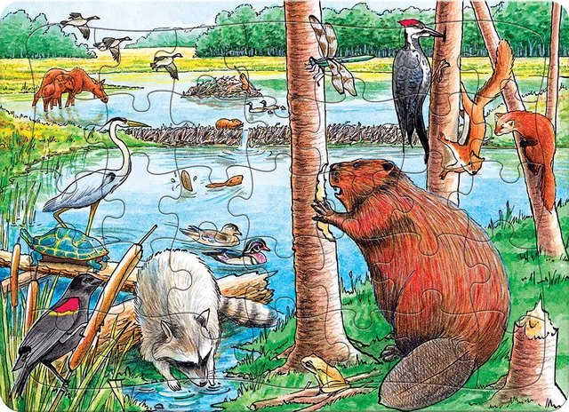 cobble-hill-the-beaver-pond-35-teile-rahmenpuzzle-biber image 1