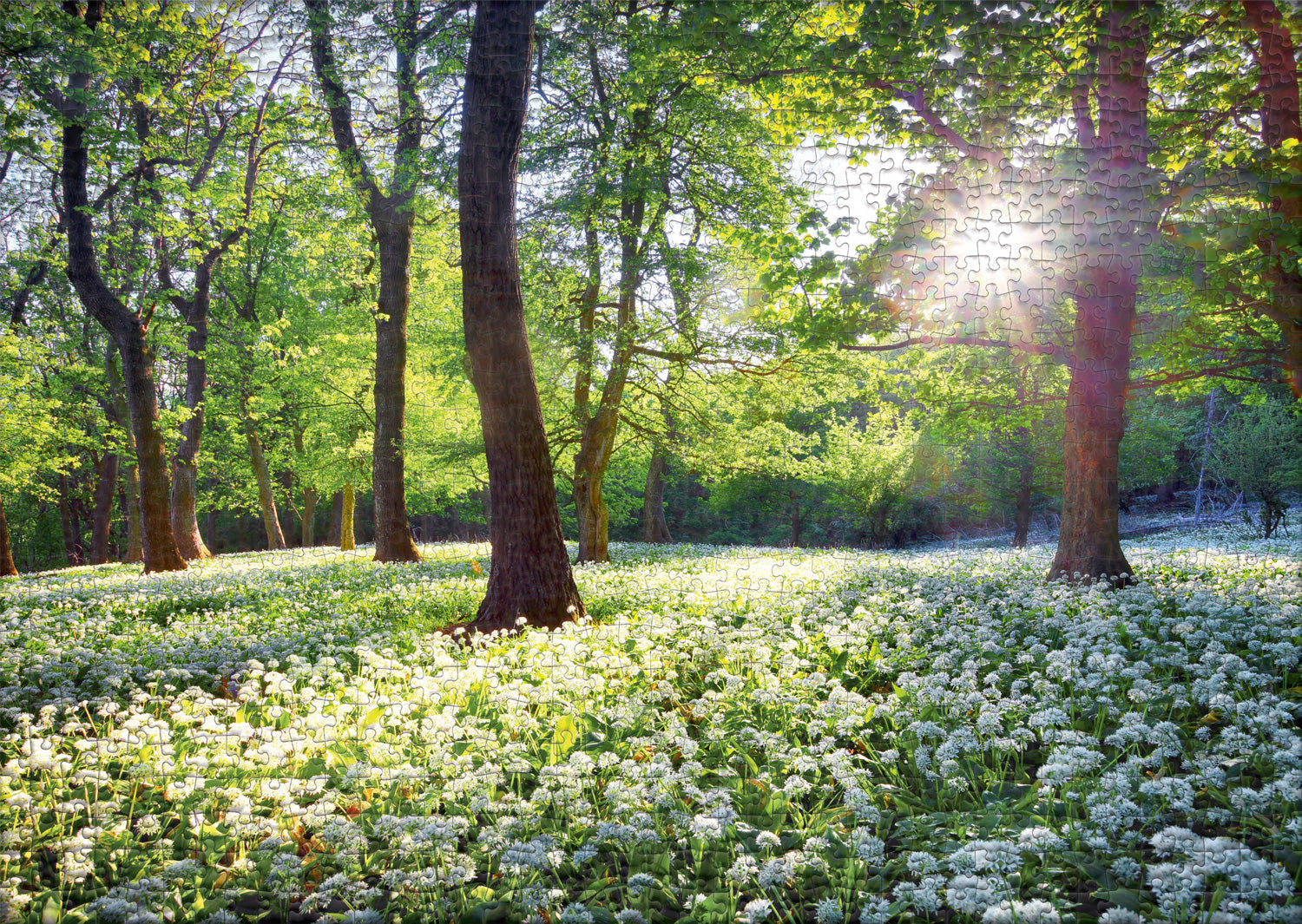 ulmer-puzzleschmiede-fr-hlingssonne-puzzle-1000-teile-natur image 2