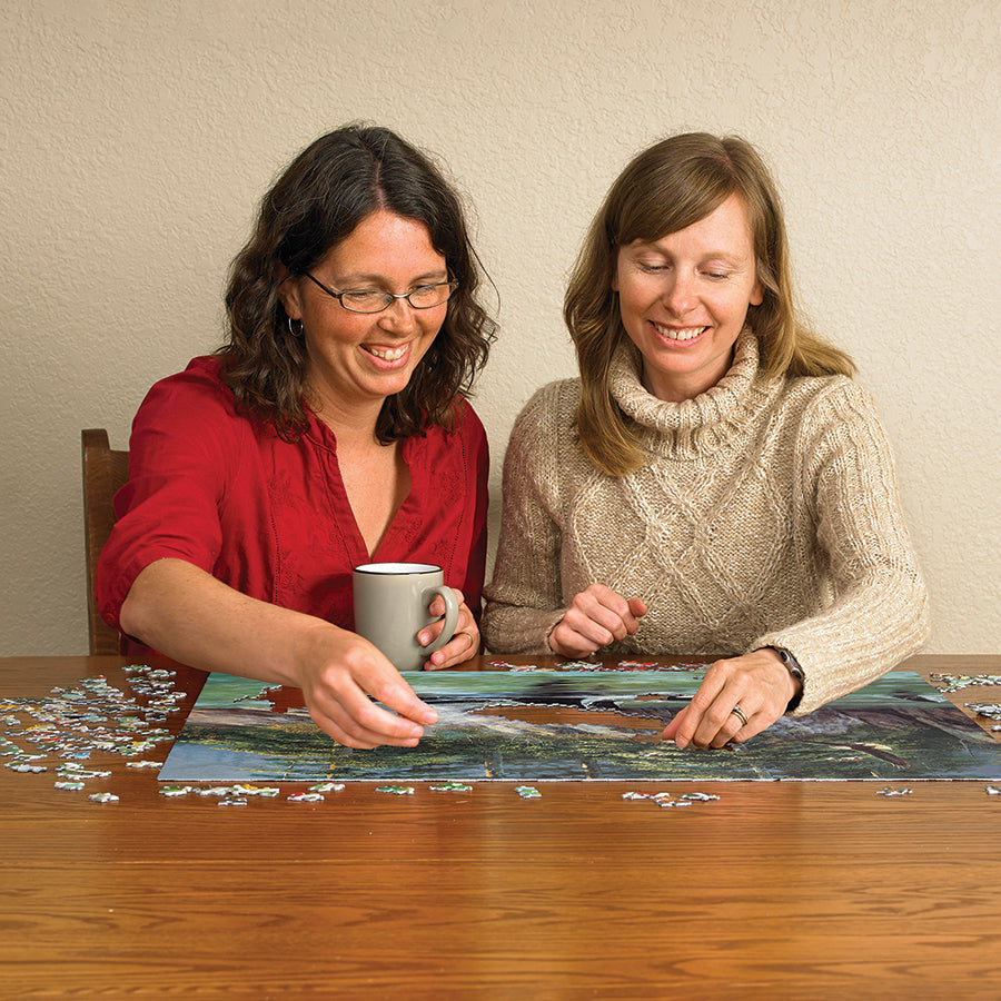 cobble-hill-1000-orcas-puzzle-1000-teile-wale image 5