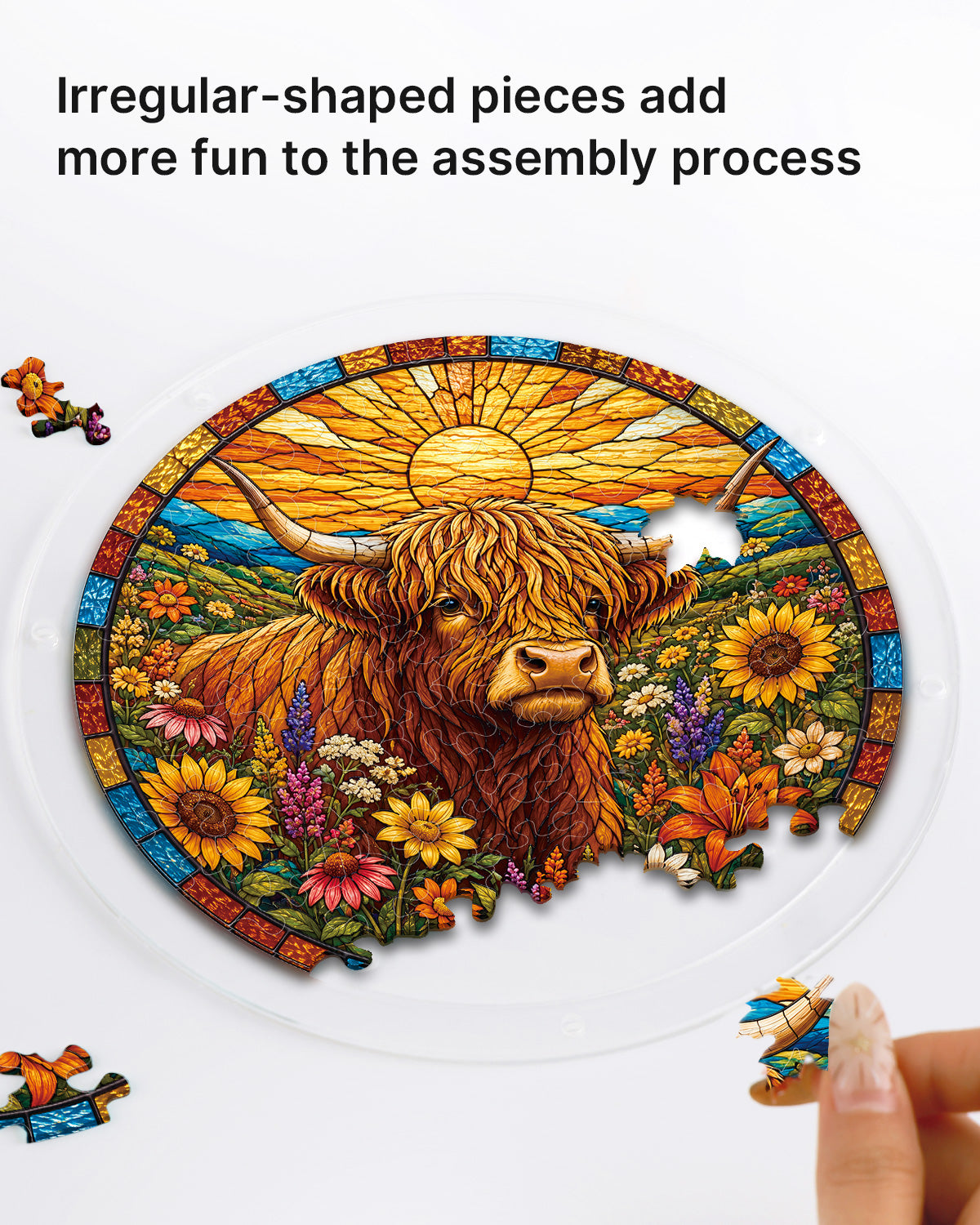 kaayee-blooming-highland-cow-suncatcher-fensterbild-medium-acryl image 2