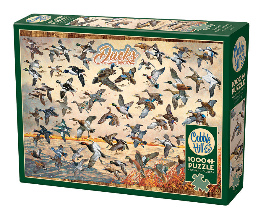cobble-hill-1000-piece-ducks-of-north-america-puzzle-1000-teile image 1
