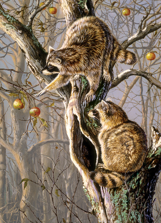 cobble-hill-1000-piece-ringtail-raiders-puzzle-waschb-r-1000t image 2