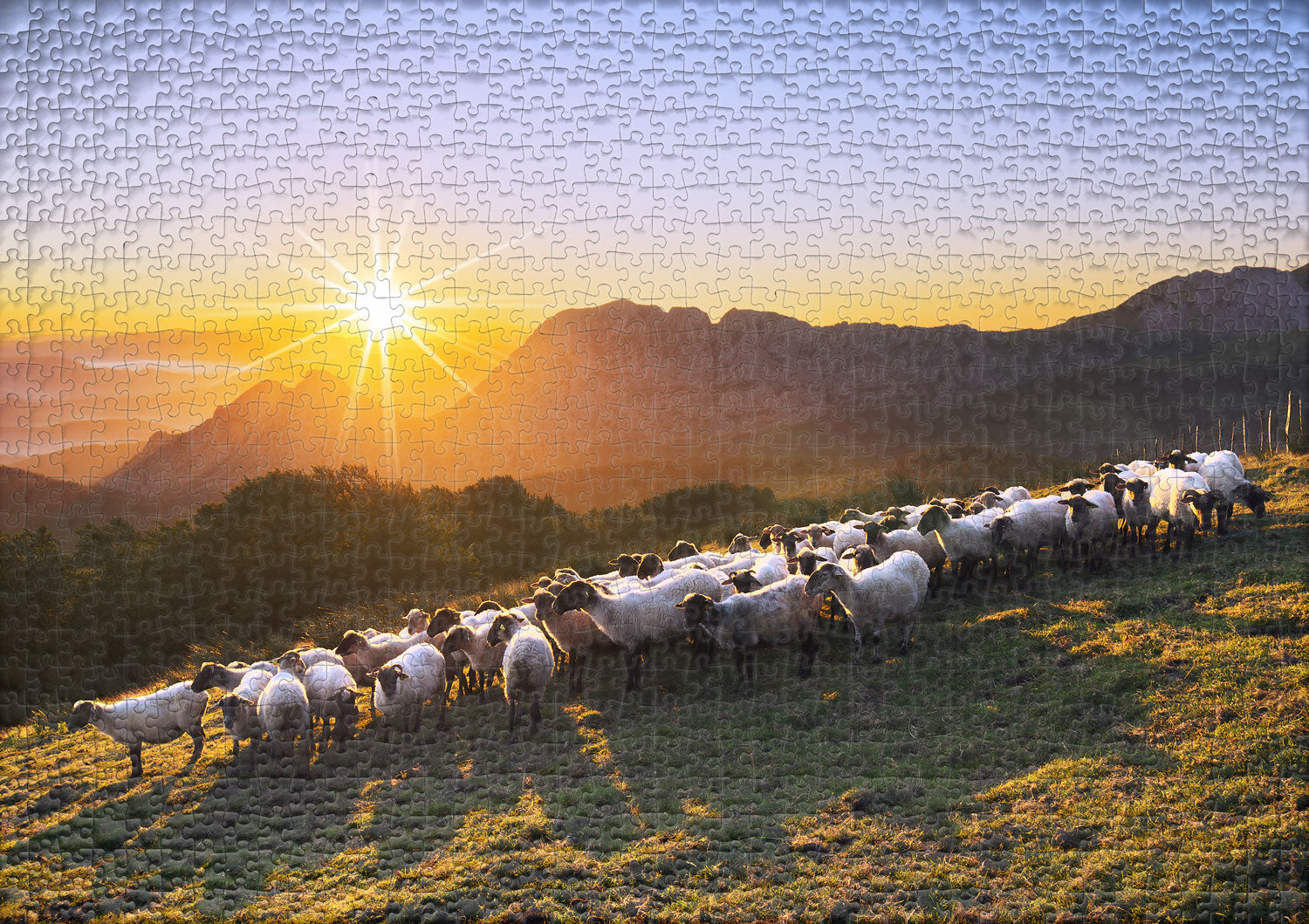 ulmer-puzzleschmiede-bergvolk-puzzle-1000-teile-schafe-alpen image 2
