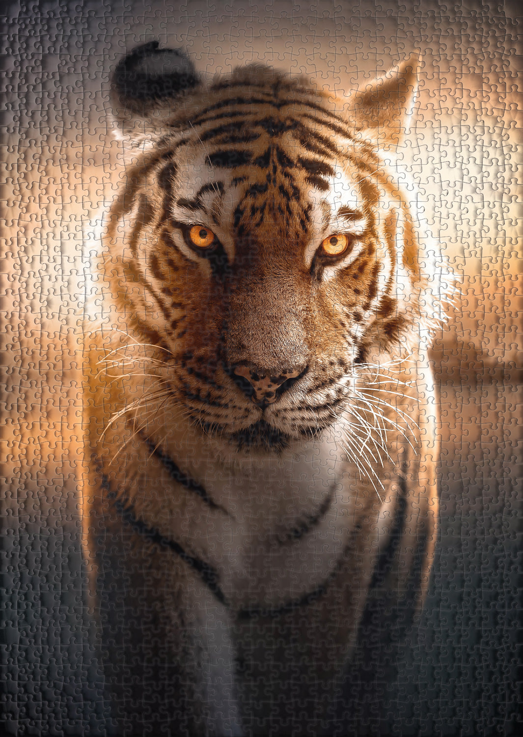 ulmer-puzzleschmiede-augen-der-nacht-puzzle-1000-teile-tiger image 2