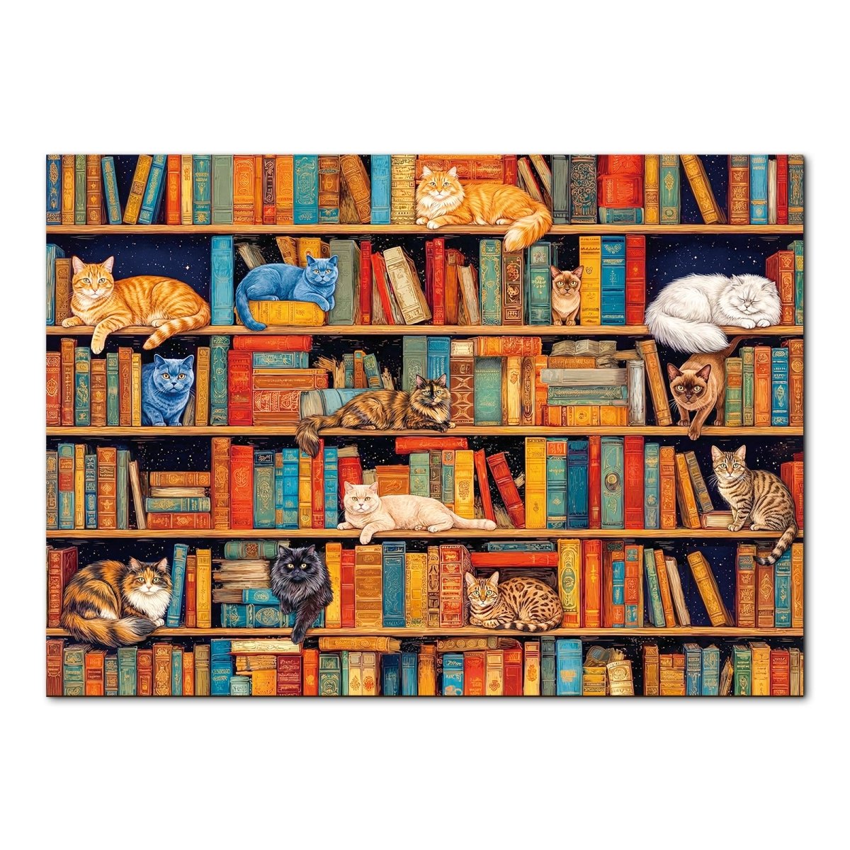 kaayee-cardboard-puzzle-cat-on-shelf-puzzle-1000-teile-standard image 1
