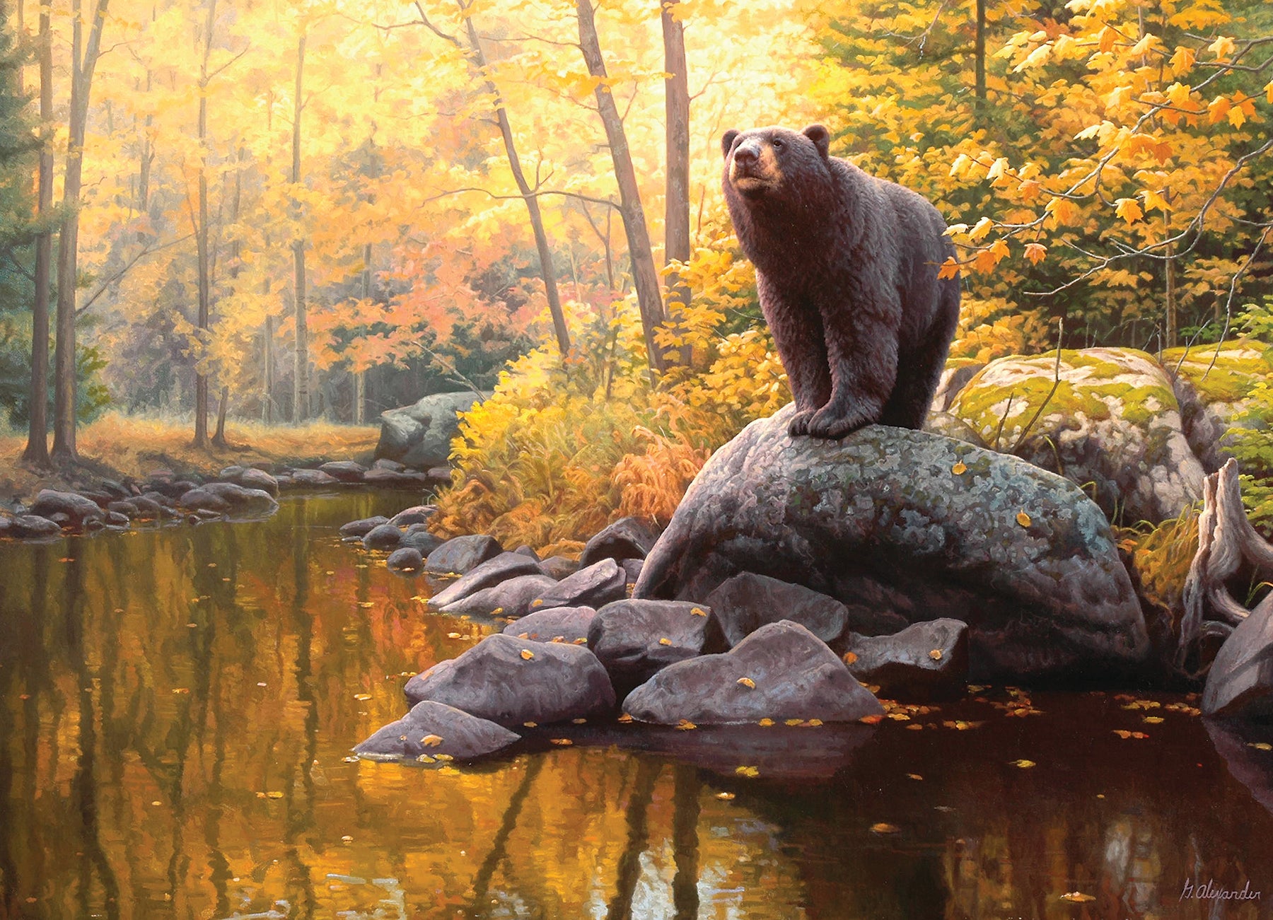 cobble-hill-1000-piece-black-bear-pond-puzzle-1000-teile-b-r-herbst image 2