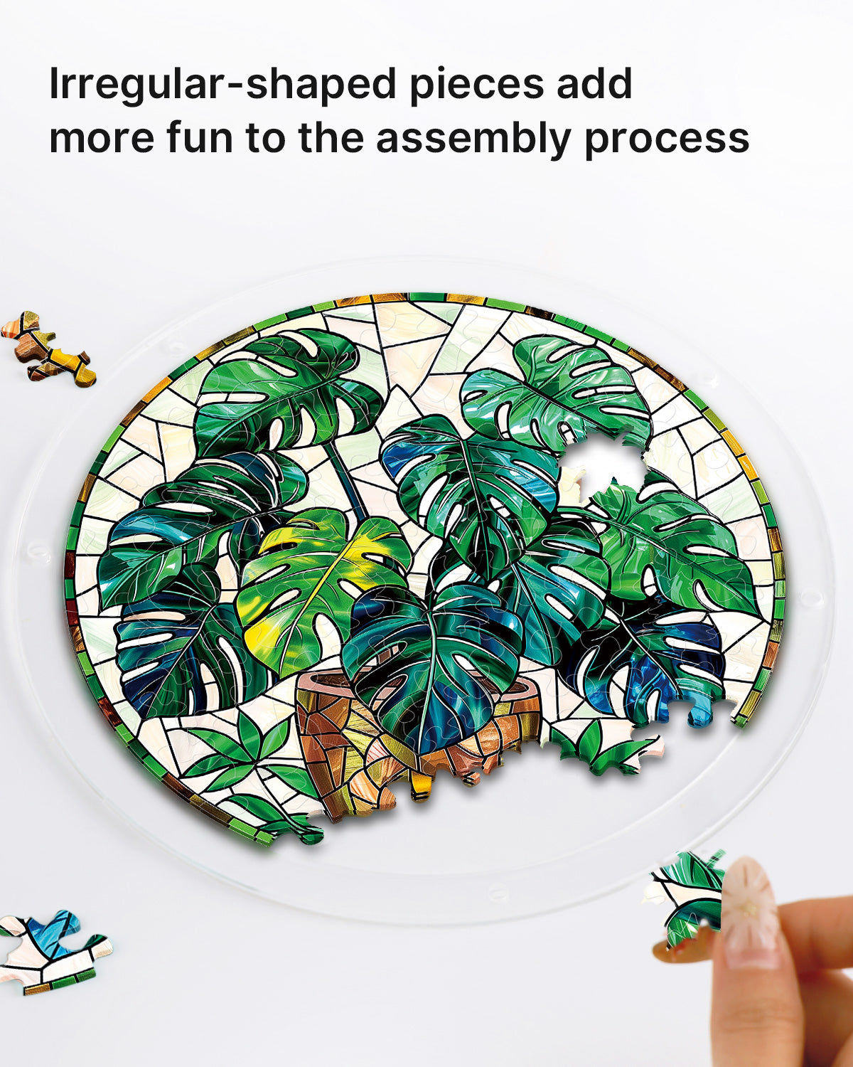 kaayee-suncatcher-monstera-fensterbild-medium-acryl image 2
