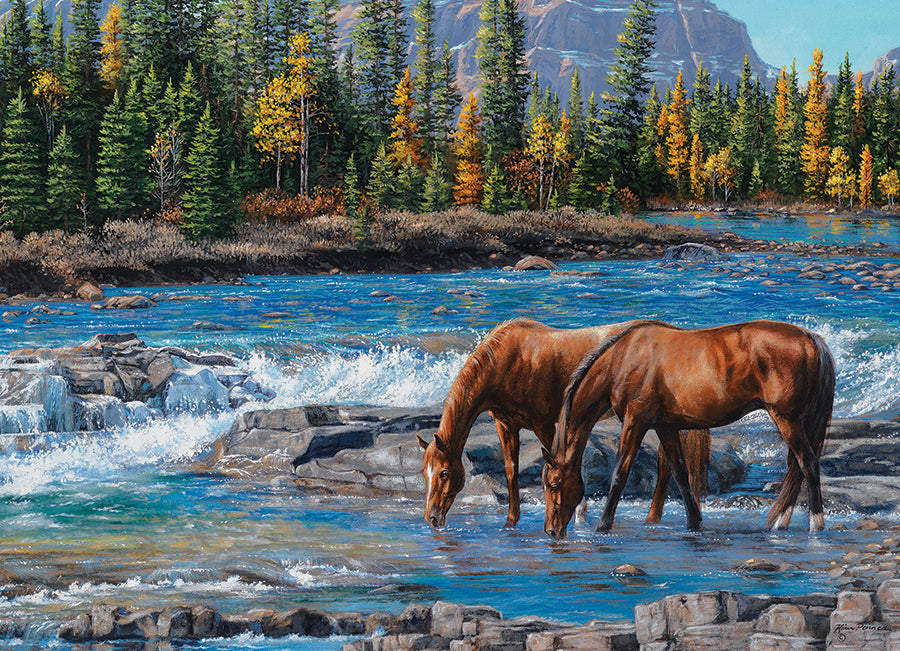 cobble-hill-1000-piece-on-the-rocks-puzzle-1000-teile-herbst image 2