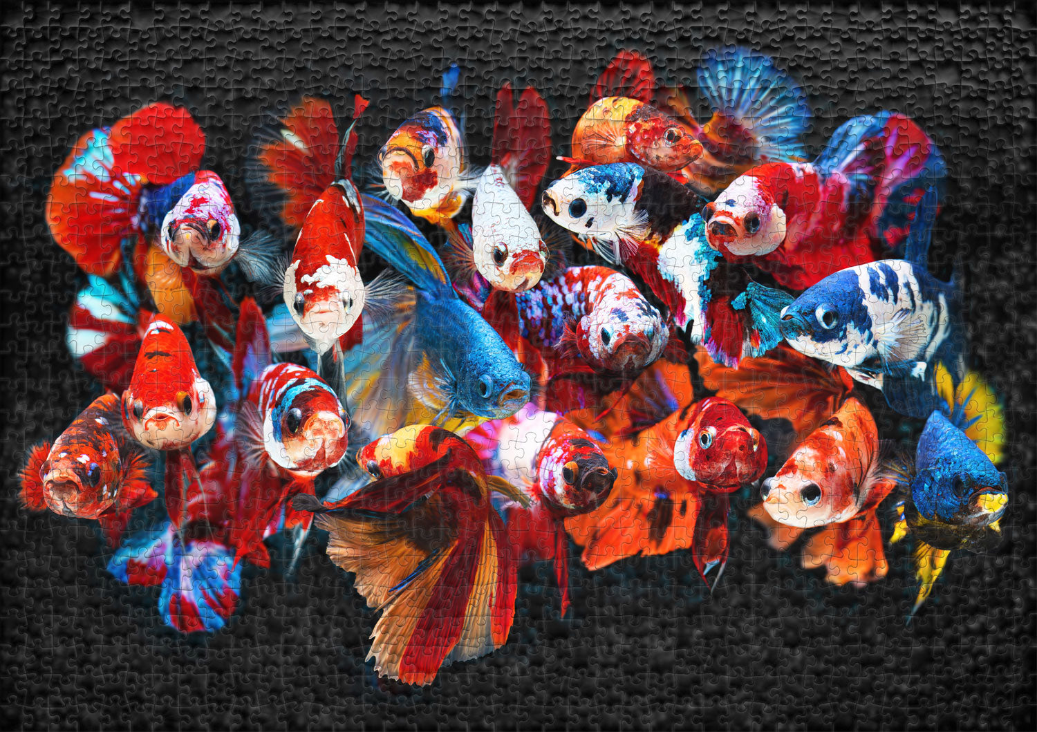 ulmer-puzzleschmiede-koi-puzzle-1000-teile-fische-bunt image 2