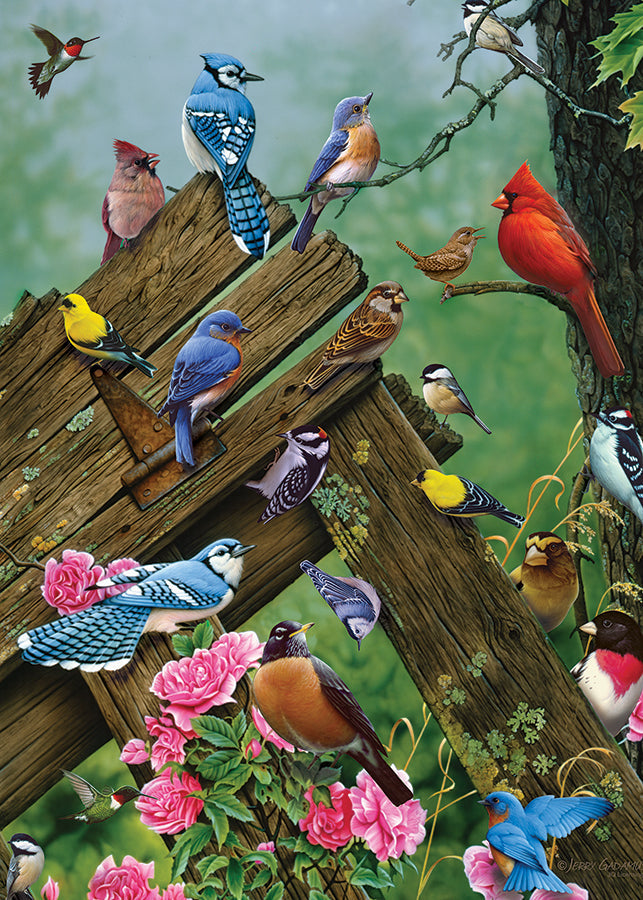 cobble-hill-wildbird-gathering-35-teile-rahmenpuzzle-v-gel image 3