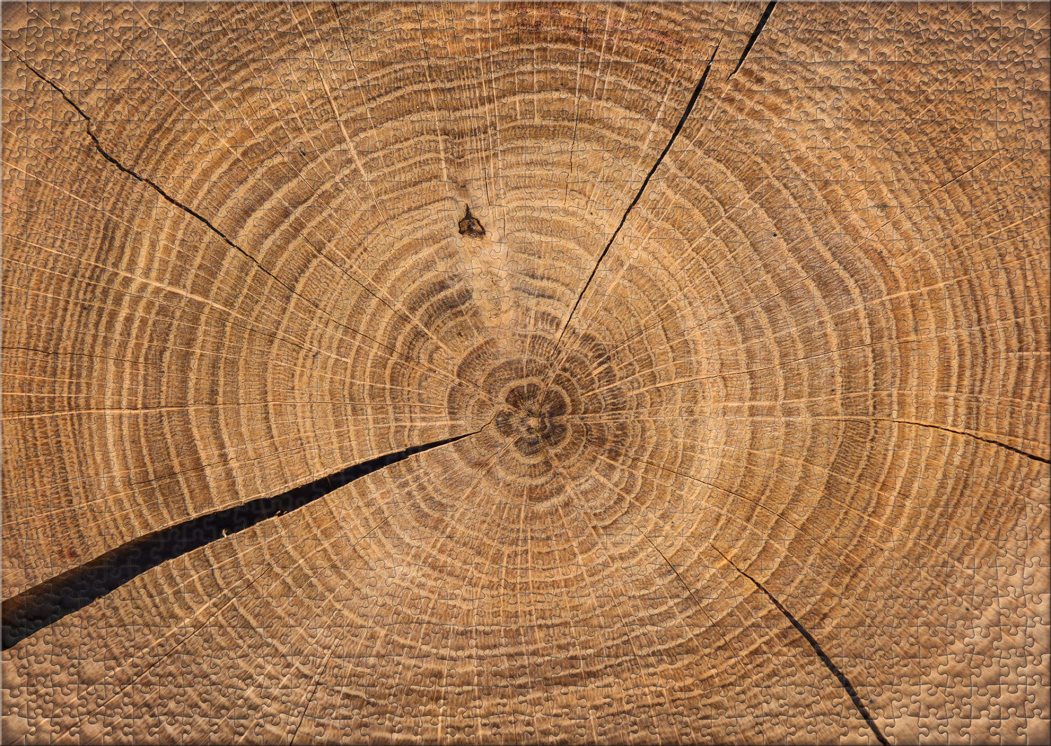 ulmer-puzzleschmiede-puzzle-1000-teile-holzchronik-impossible-puzzle-natur image 2