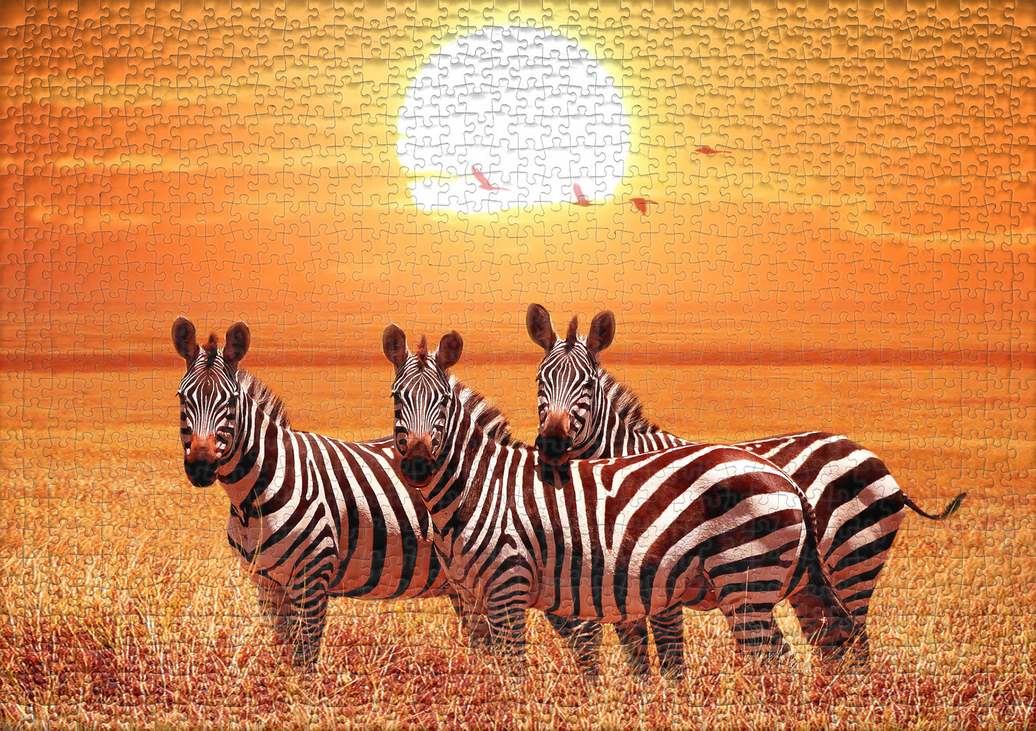 ulmer-puzzleschmiede-puzzle-1000-teile-unter-der-sonne-afrikas-zebra-savanne image 2
