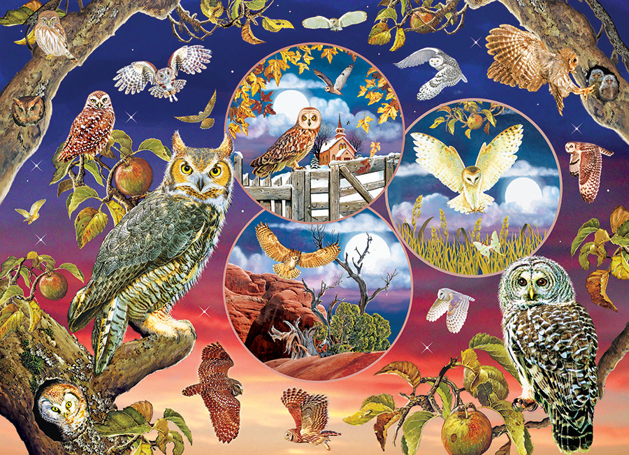 cobble-hill-1000-piece-owl-magic-puzzle-1000-teile-eulen image 2